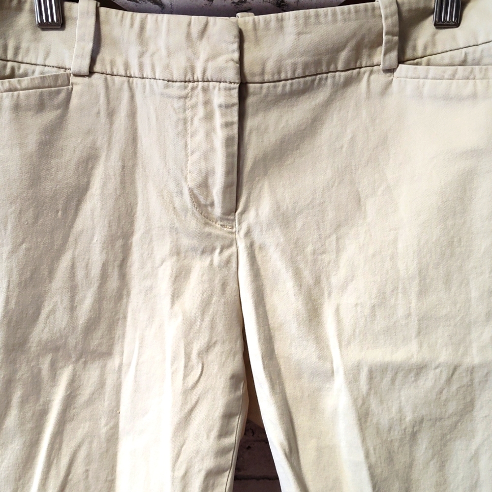 Talbot's Shorts - Picture 4 of 4